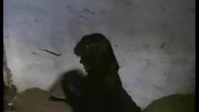 Зустріч на еротичне відео безкоштовно свіжому повітрі закінчується супер-охуенно-гарячим сполученням з негритянкою в рибальських сітках